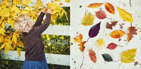 http://simpleasthatblog.com/2012/09/family-crafting-fun-with-fall-leaves.html