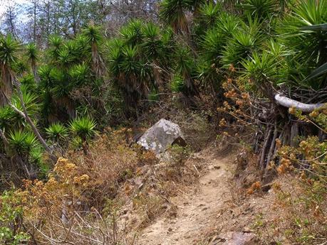 Rincones con encanto: Huato, aislado en el paraíso