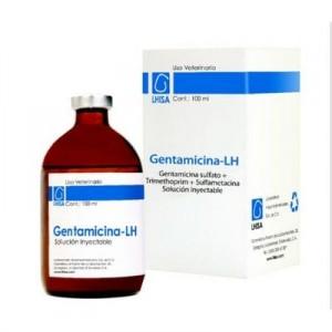 aminoglucósidos en la diabetes