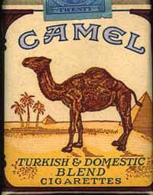 ¿Balance o Camel?