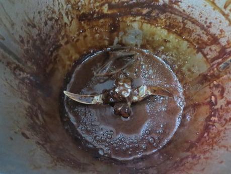 Tarta mousse de chocolate