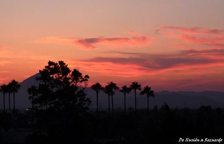 Atardecer en Oliva