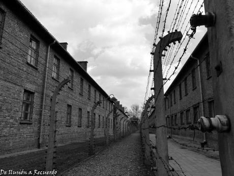 Auschwitz en Cracovia
