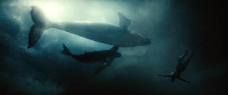 Nuevos Detalles De Aquaman Para Batman V Superman: Dawn Of Justice