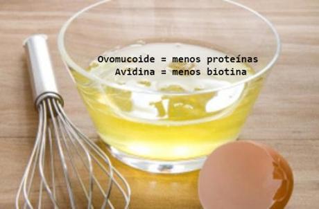 Los antinutrientes de los glúcidos y proteínas. antinutrientes