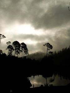 150 Palabras: Capítulo 7 (húmedo, cordón, suerte)