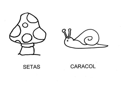 Recursos del otoño IV