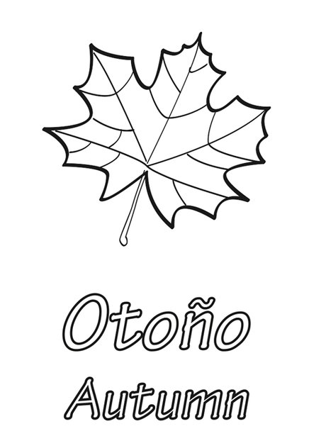 Recursos del otoño IV
