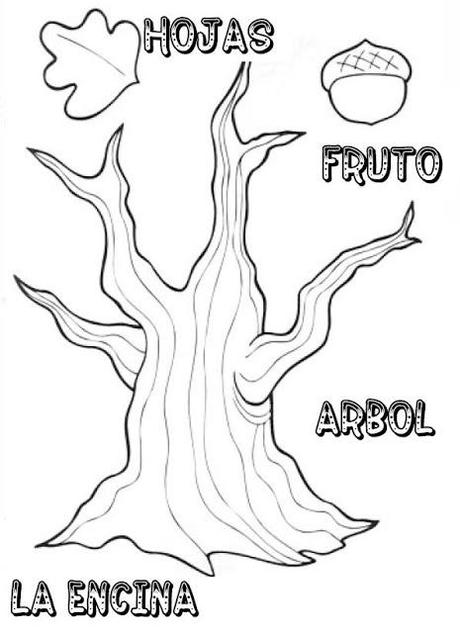 Recursos del otoño IV