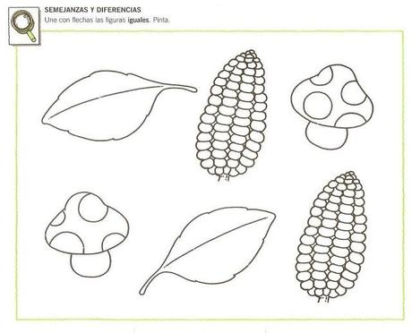 Recursos del otoño IV
