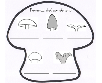 Recursos del otoño IV