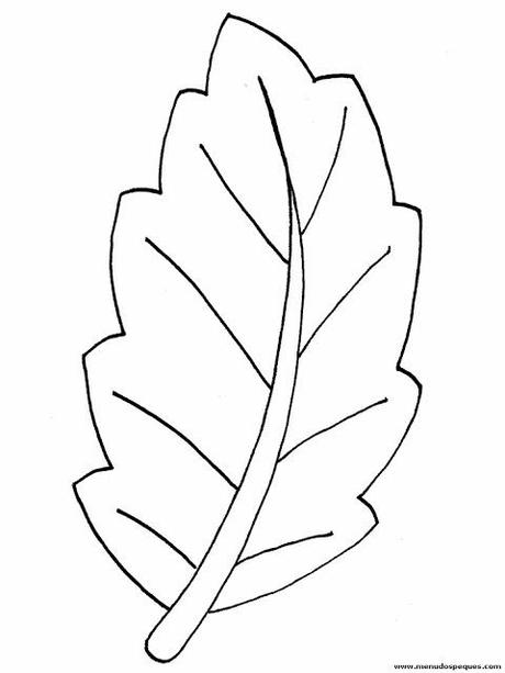 Recursos del otoño IV