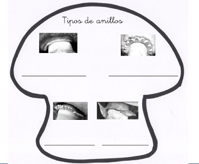 Recursos del otoño IV