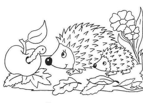 Recursos del otoño IV