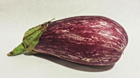 Rollito de Berenjena Relleno de Queso Crema y Salmón Marinado sobre Cus-Cus a la Menta
