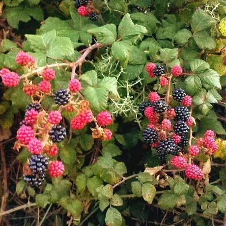 Agosto instagramizado