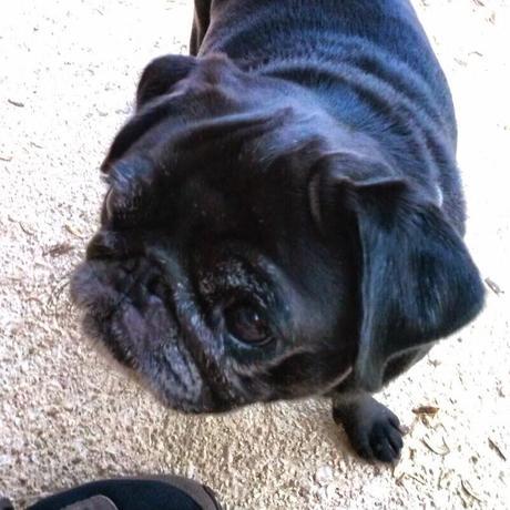 Agosto instagramizado