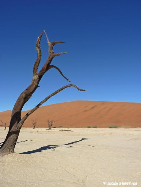 Dead-vlei-desierto