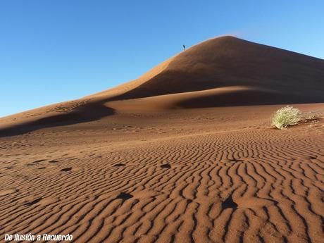 Duna-45-desierto-Namibia