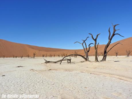 Dead-Vlei-sesriem-desert