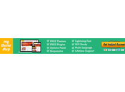 Mythemeshop Best Responsive WordPress Themes