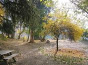 Otoño, cuándo