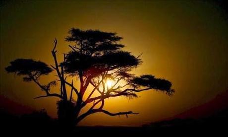 La ONU espera resultados en la COP... pero en la del 2015