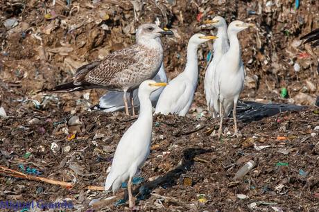 PASEO POR LA RIBERA DE NAVARRA