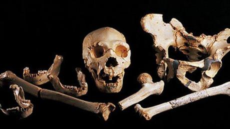 Secuencian genoma de 12 mil 600 años de antigüedad