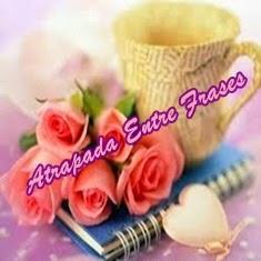 Novedades: Apadrina un blog Novedades: Apadrina un blog