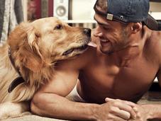 Cómo saber perro quiere