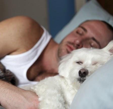 Cómo saber si mi perro me quiere: cuidados y nombres para tu mascota. Perro y dueño durmiendo