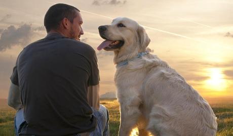 Cómo saber si mi perro me quiere: cuidados y nombres para tu mascota. Perro y dueño