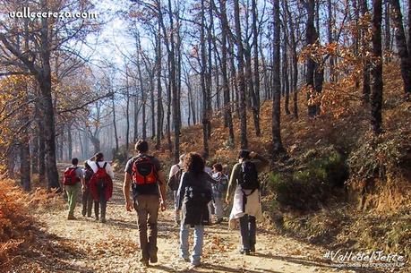 Ruta PR CC 18 (Robledal de la Solana) 