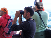 migración desde barco