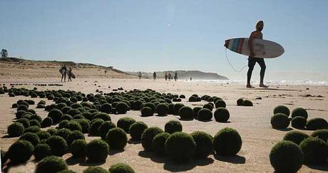 bolas verdes alien en playa de Sydney