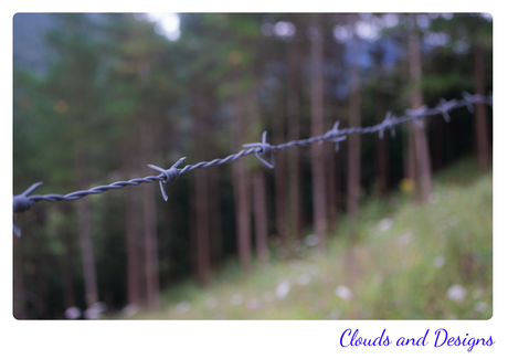 Proyecto de la A a la Z: con la E... Proyecto de la A a la Z: con la E...