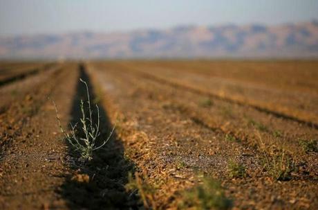 La Megasequía, un fenónemo de rango extraordinario