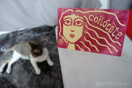 Taranee, personaje de la Marvel coñocete