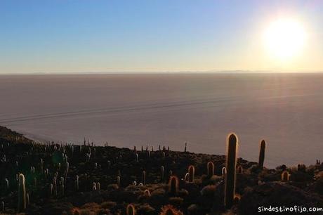 amanecer en el salar
