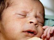 sistema inmunológico recién nacidos fuerte creía