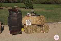Bodas CdB 2014.La boda campestre de María & Alberto