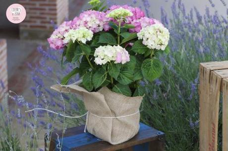 Bodas CdB 2014.La boda campestre de María & Alberto