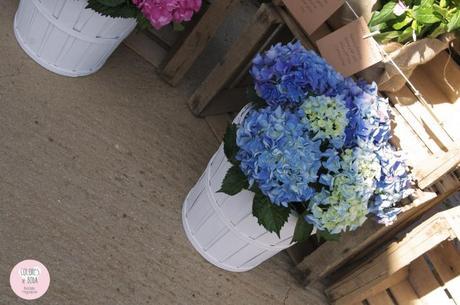 Bodas CdB 2014.La boda campestre de María & Alberto