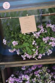 Bodas CdB 2014.La boda campestre de María & Alberto