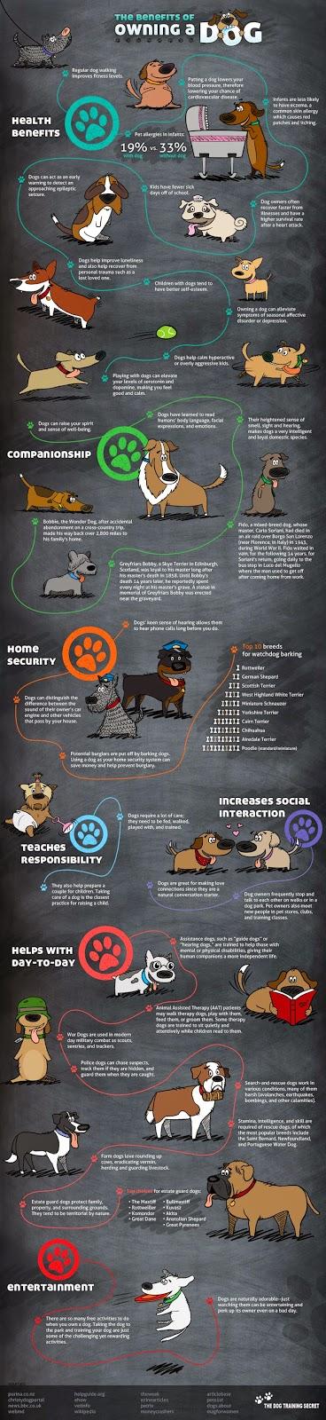 Beneficios de tener un perro #Infografía #Mascotas #Salud