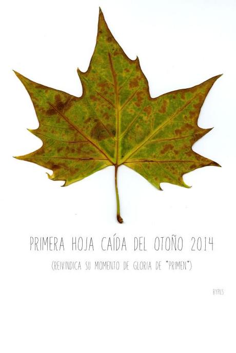 otoño2014hoja