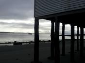 Chiloé dedo