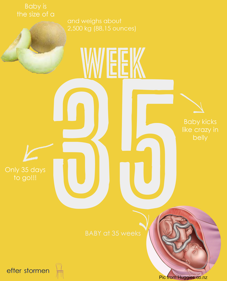 Semana 35 Embarazo | Week 35 Pregnancy