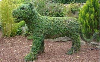 Respira aire puro en el jardín botánico El Bosque Encantado